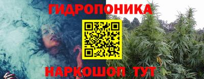 мдпв Бийск