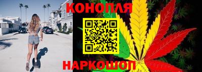 мдпв Бийск