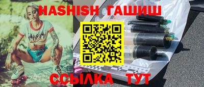 мдпв Бийск