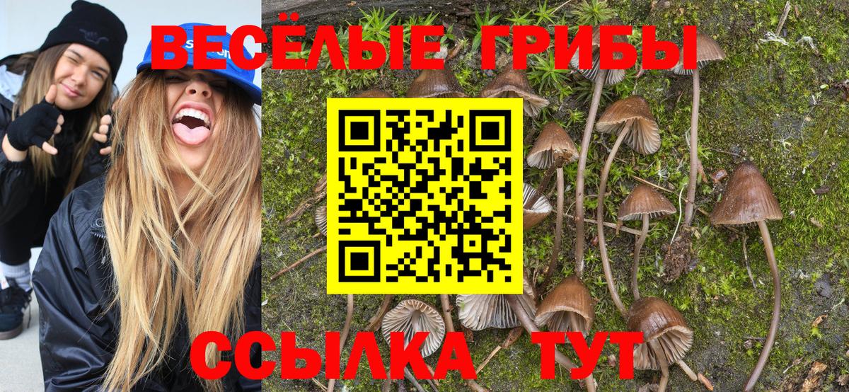 Галлюциногенные грибы прущие грибы  Псилоцибиновые грибы Magic Shrooms  Вход с VPN  Кировск 