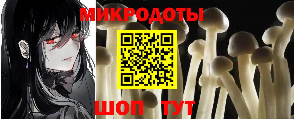Галлюциногенные грибы прущие грибы Кировск
